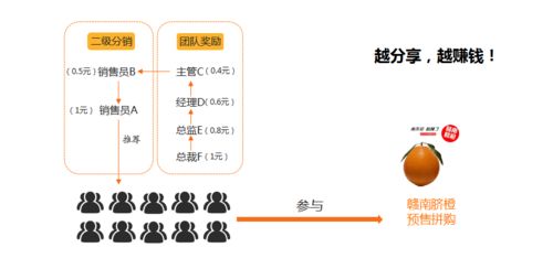 預(yù)售拼購(gòu)模式軟件系統(tǒng),農(nóng)產(chǎn)品贛南臍橙案例推演剖析