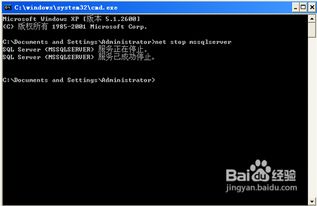 如何啟動SQL數據庫服務 Windows與Linux系統詳細步驟指南